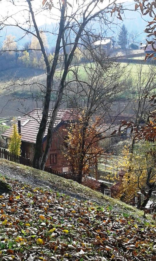 Vila Trnoruzica Tuhelj Luaran gambar